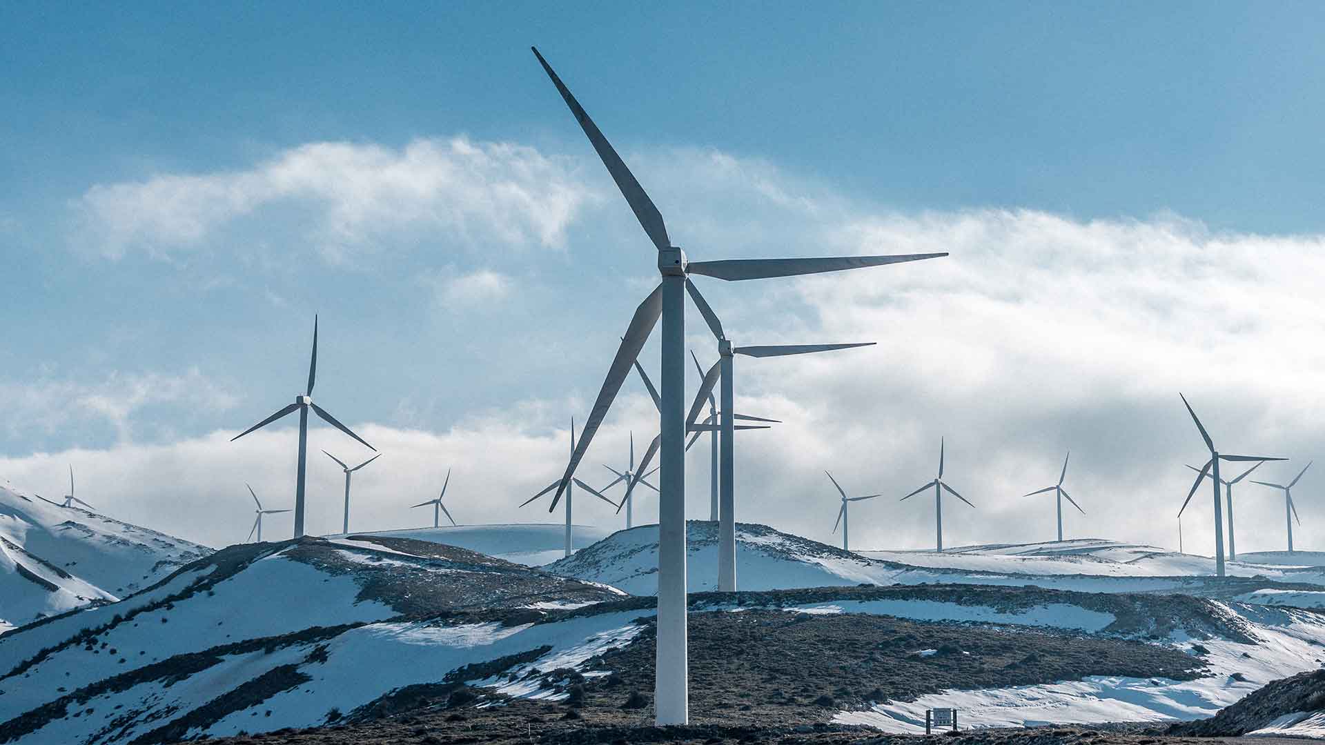 Innovative Technology and Professional Supply Chain System